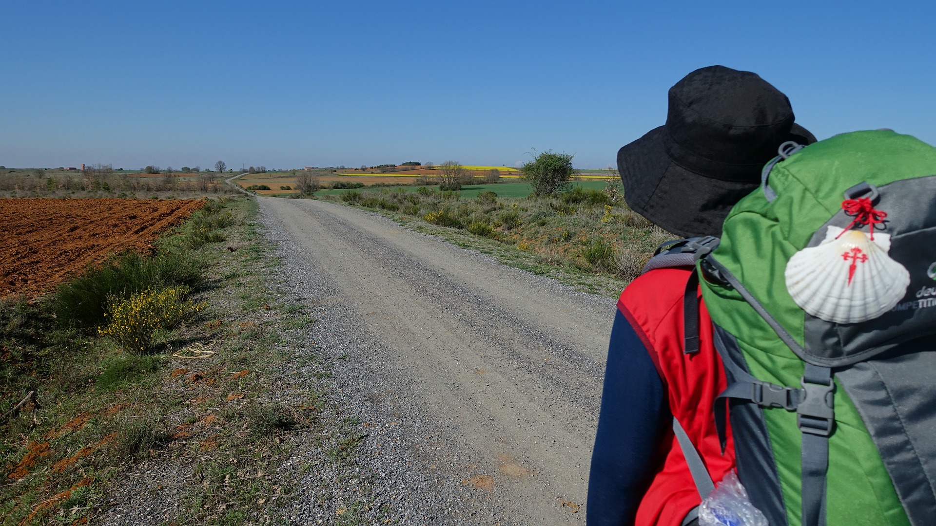 Camino de Santiago: consejos y pasos