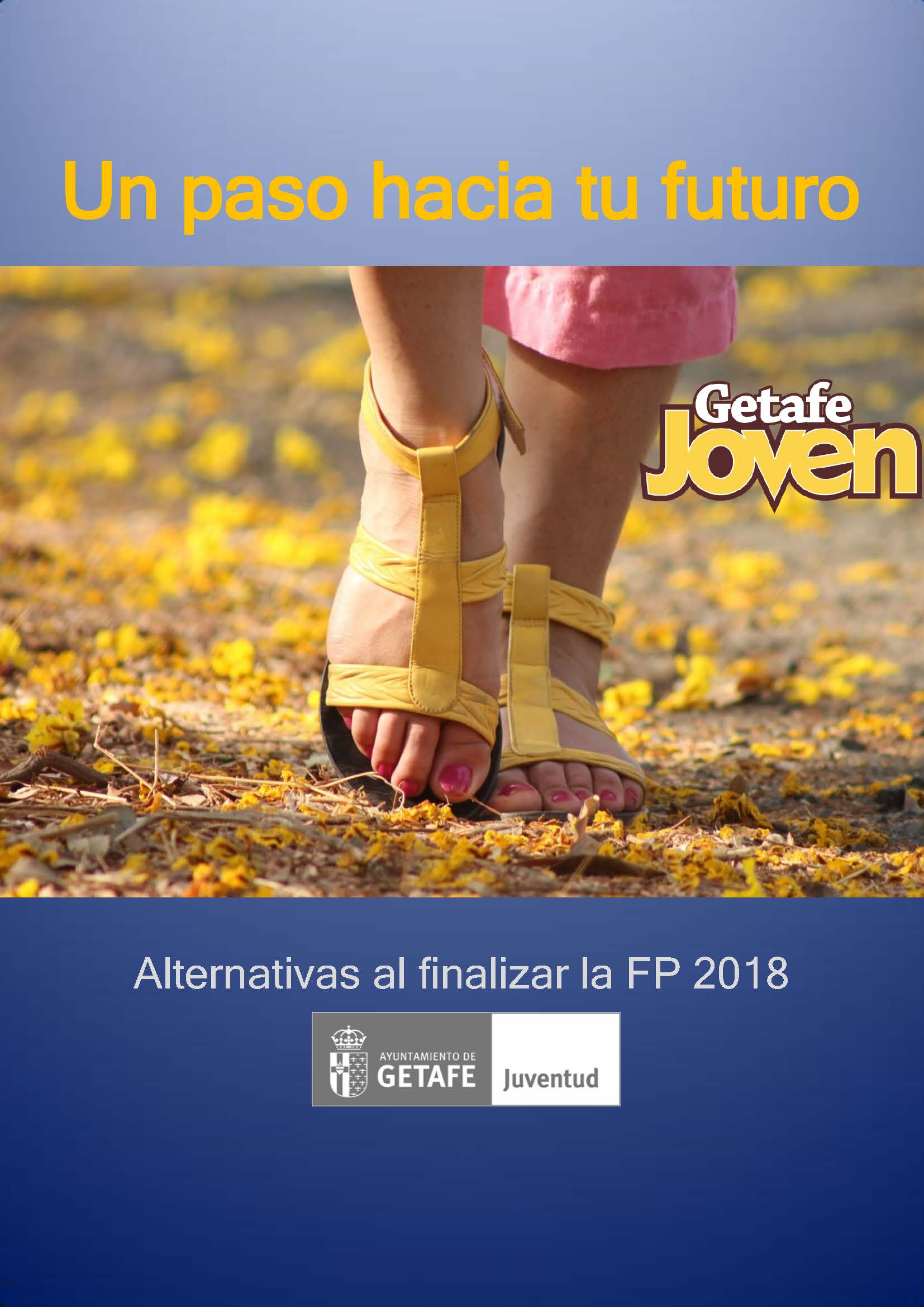 ¿Te interesa conocer las opciones al finalizar la FP?