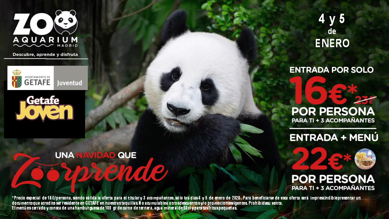 Zoopréndete de nuevo este fin de semana