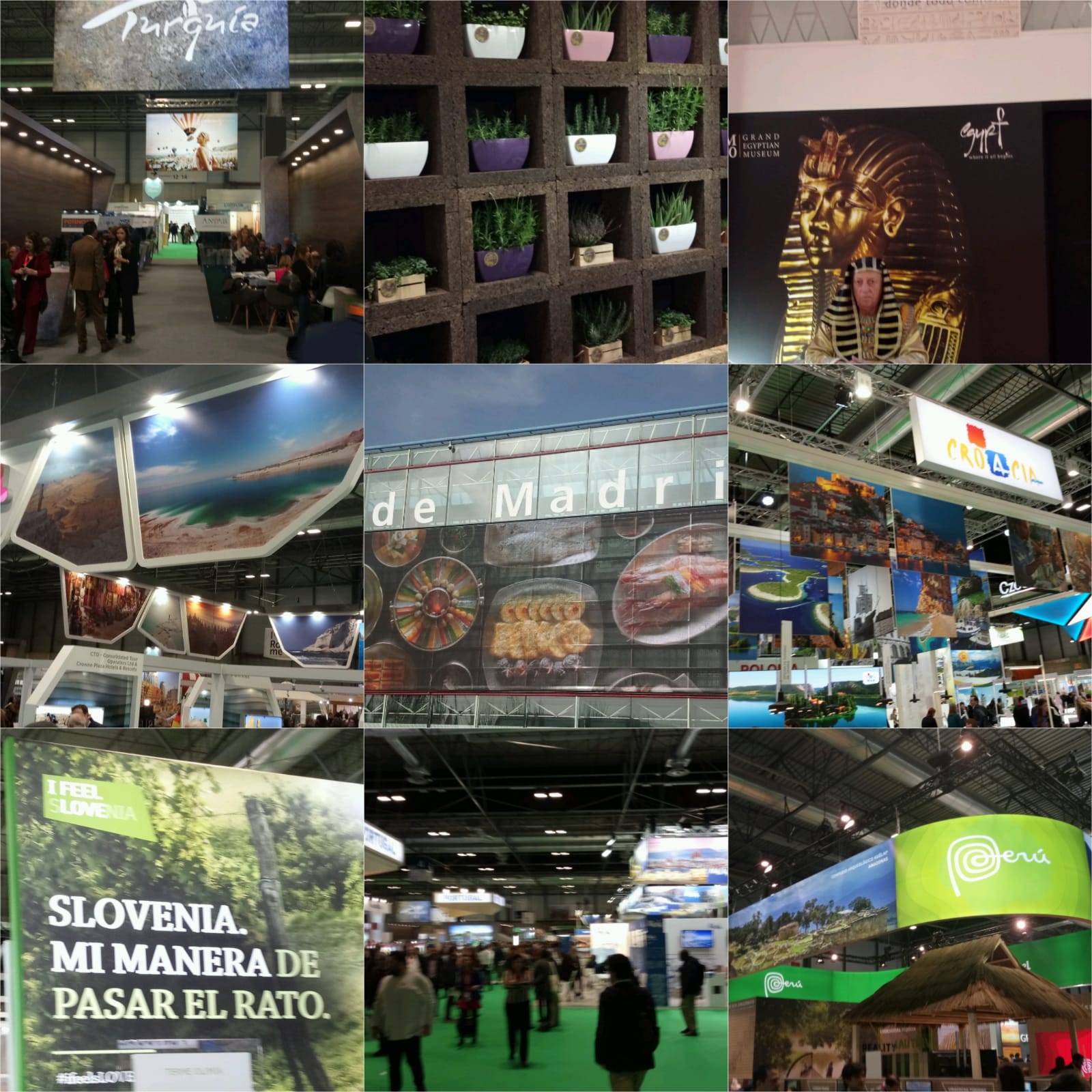 Getafe Joven visita para FITUR para traer a Getafe las últimas novedades en materia de turismo
