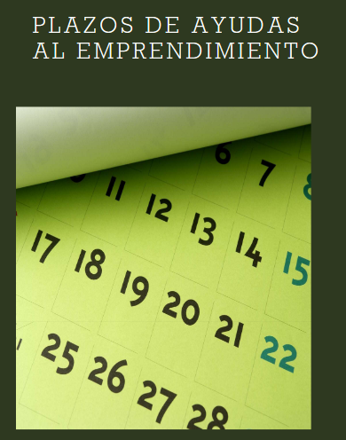 Nueva convocatoria de Ayudas para fomento del emprendimiento a  jóvenes inscritos Garantía Juvenil