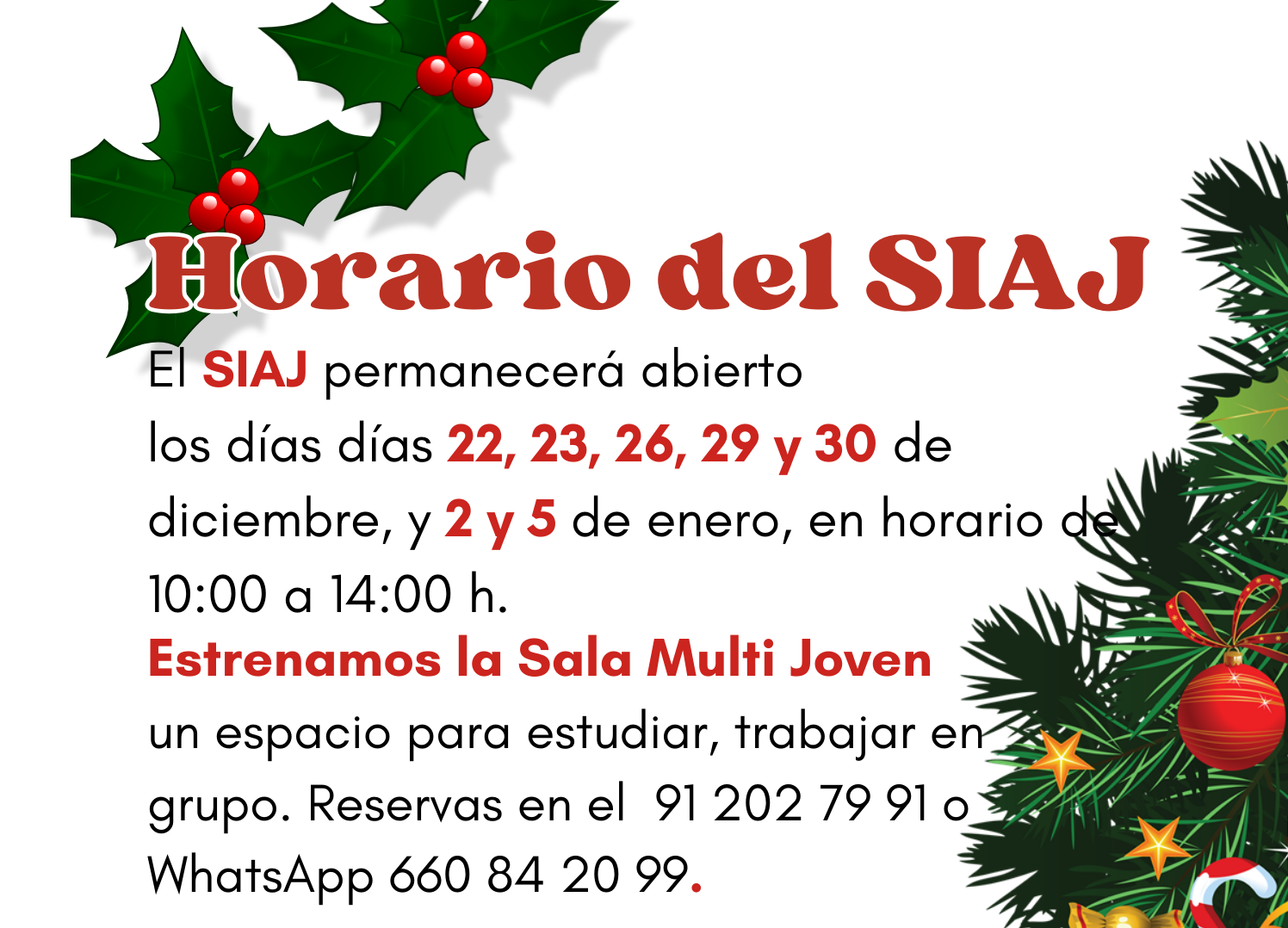 Estas Navidades, te esperamos en el SIAJ, con un espacio nuevo, La Sala Multi Joven,  pensada para ti.